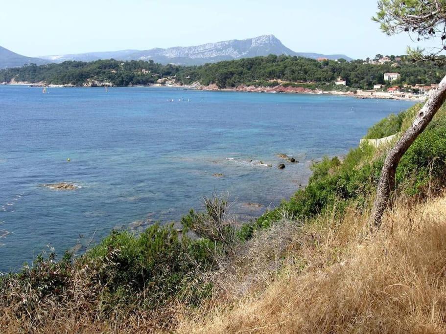 T2: 45M2 :4 Places :Independant Dans Villa Hyères Zewnętrze zdjęcie