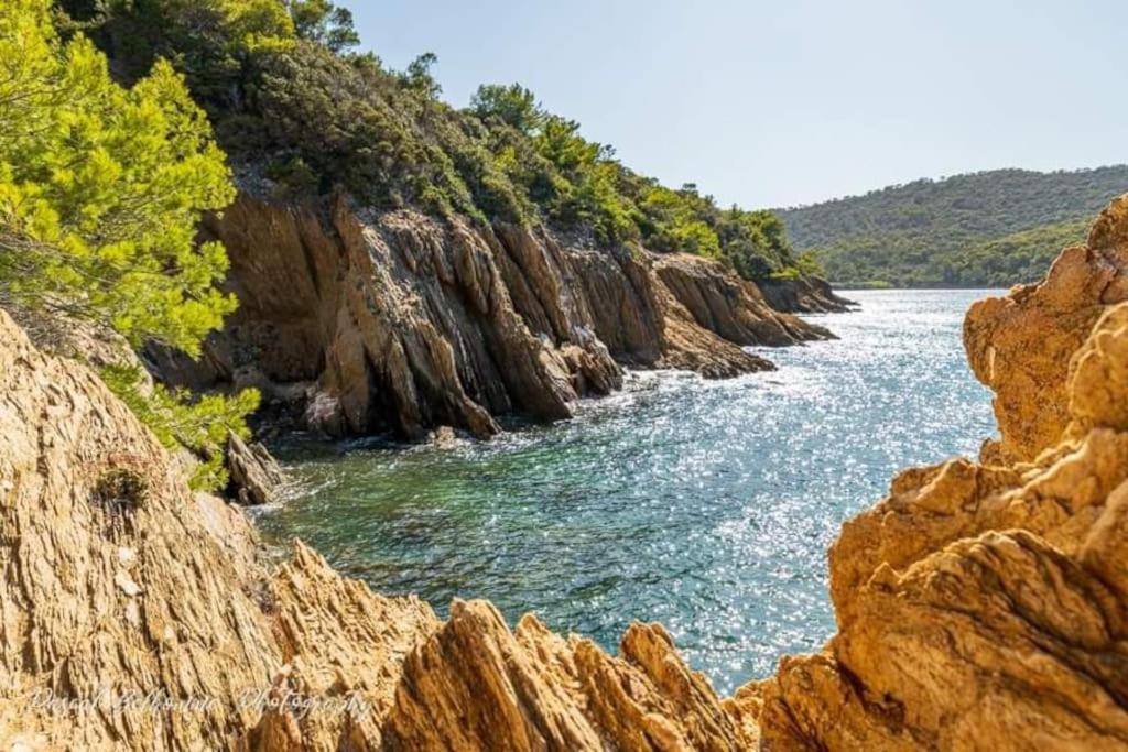 T2: 45M2 :4 Places :Independant Dans Villa Hyères Zewnętrze zdjęcie