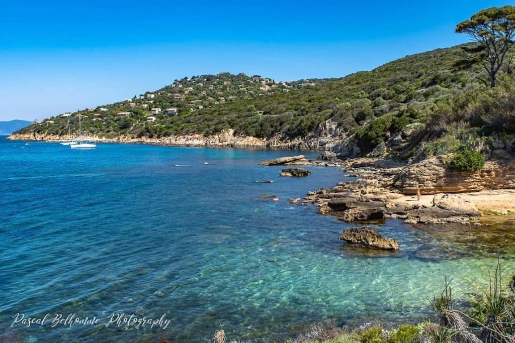 T2: 45M2 :4 Places :Independant Dans Villa Hyères Zewnętrze zdjęcie