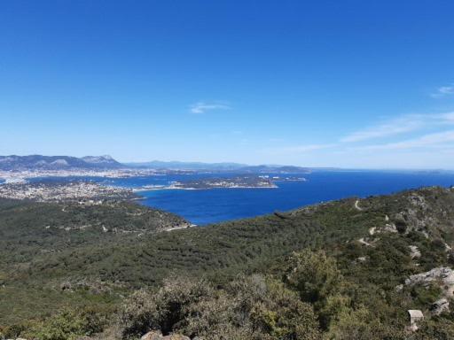 T2: 45M2 :4 Places :Independant Dans Villa Hyères Zewnętrze zdjęcie