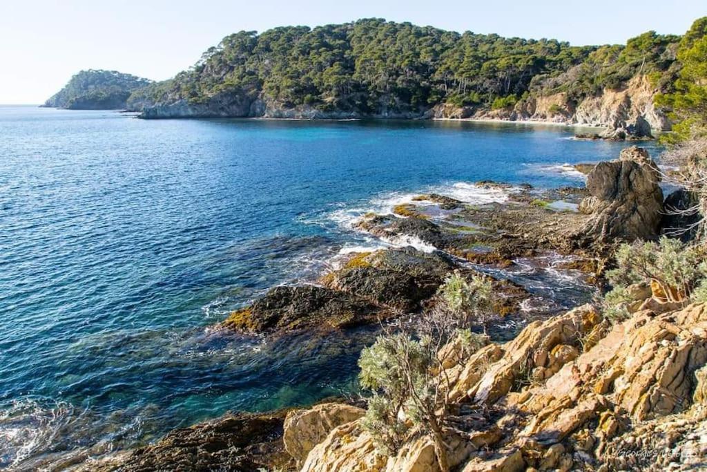 T2: 45M2 :4 Places :Independant Dans Villa Hyères Zewnętrze zdjęcie